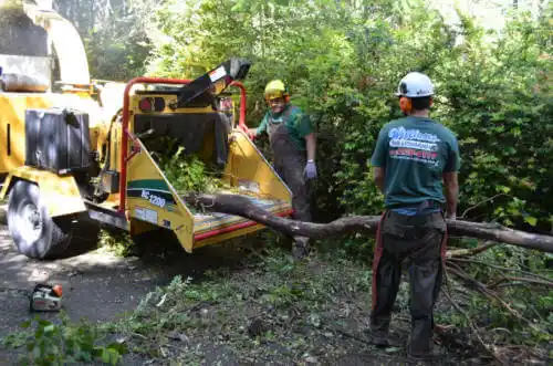 tree services Tehachapi